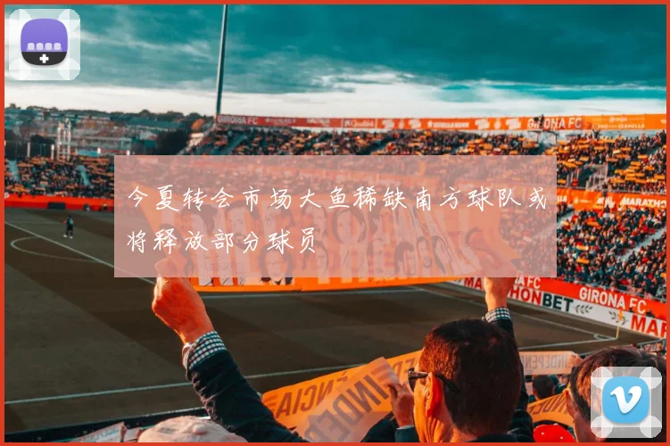 今夏转会市场大鱼稀缺南方球队或将释放部分球员