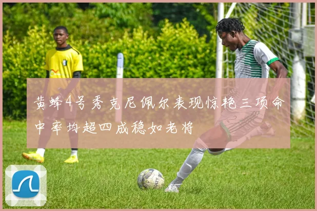 黄蜂4号秀克尼佩尔表现惊艳三项命中率均超四成稳如老将