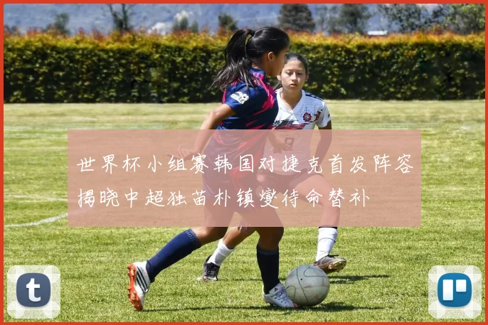 世界杯小组赛韩国对捷克首发阵容揭晓中超独苗朴镇燮待命替补