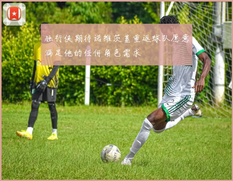 独行侠期待诺维茨基重返球队愿意满足他的任何角色需求