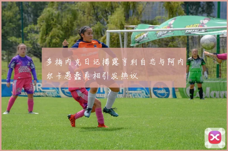多梅内克日记揭露亨利自恋与阿内尔卡愚蠢真相引发热议