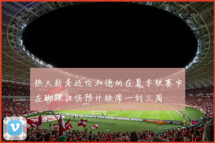热火新秀迈伦加德纳在夏季联赛中左脚踝扭伤预计缺席一到三周